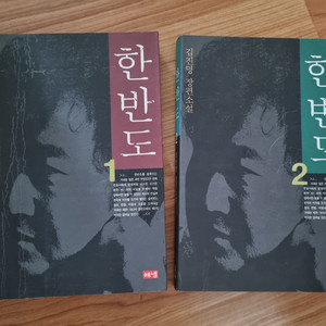 김진명 장편소설 한반도 1,2권 세트일괄