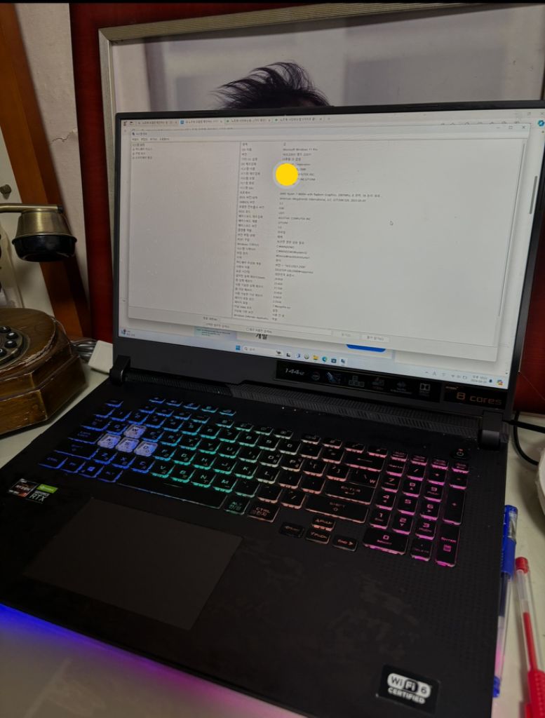 ROG STRIX G17 G713IM-HX020 게이밍