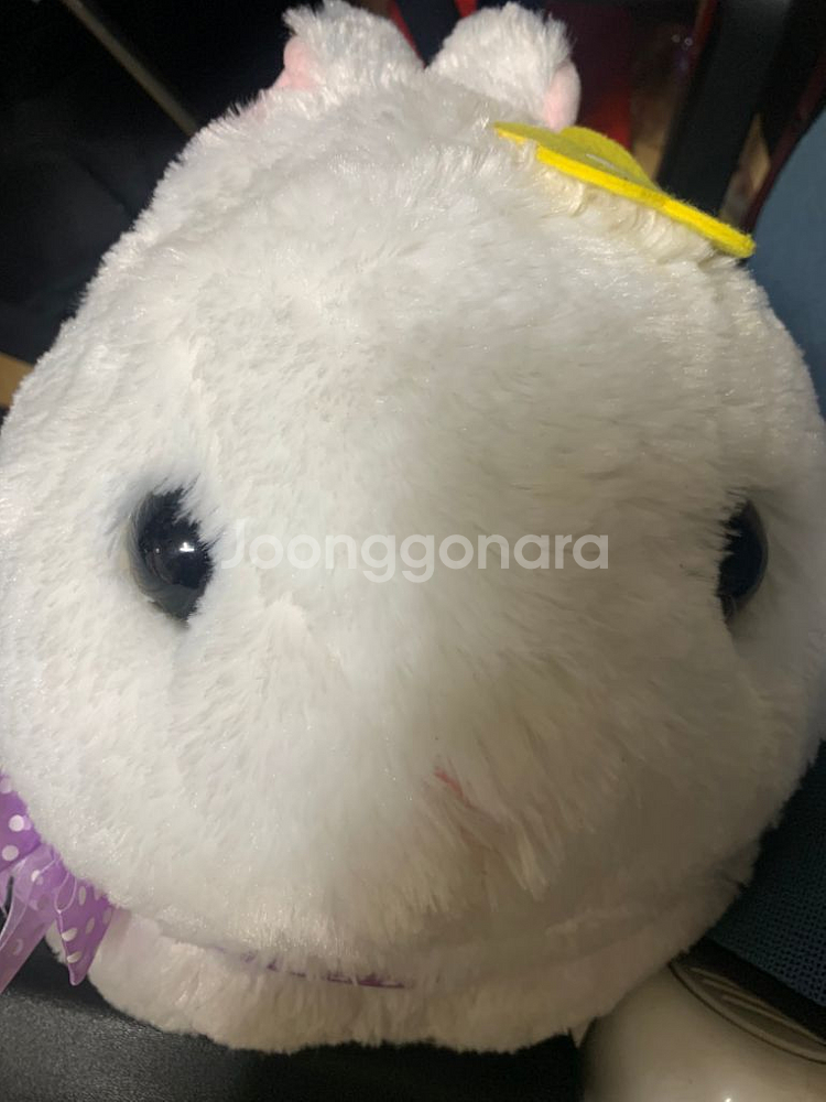 일본정품) 큔토나키 우사기 어뮤즈 토끼인형 빅사이즈--1
