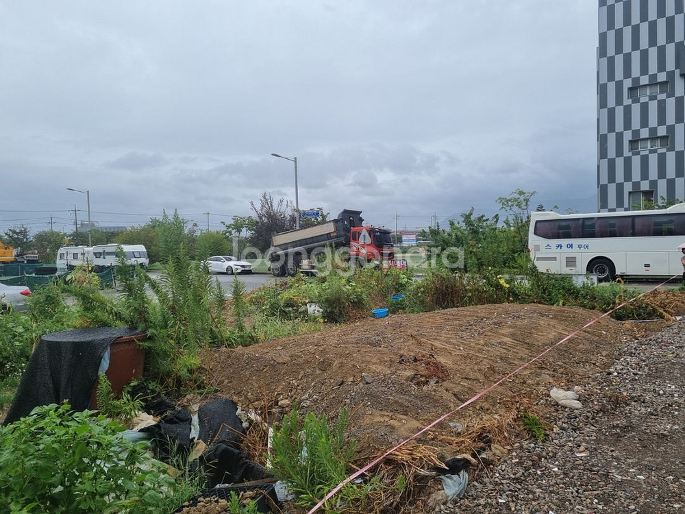 [임대.매매.공동사업] 부산 명지동 토지--3