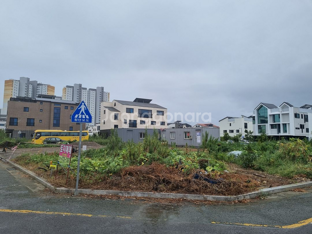 [임대.매매.공동사업] 부산 명지동 토지--5