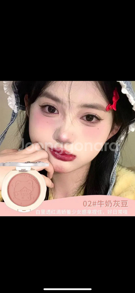 블러셔--1