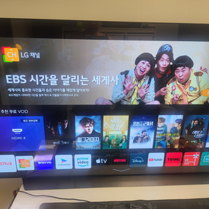 LG OLED TV 55C9CNA 오늘 새액정 교체