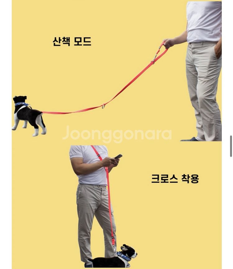 불리빌로우 카모버블검 5cm 목줄--2