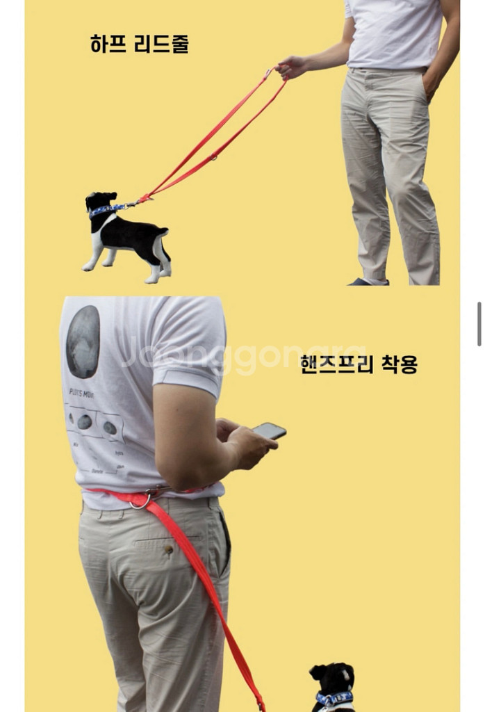 불리빌로우 카모버블검 5cm 목줄--3