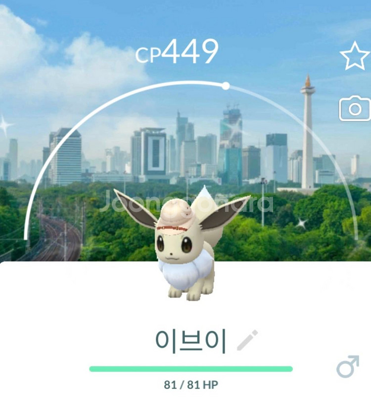 포켓몬고 전설몬,희귀몬,지역몬,이브이 이로치--6