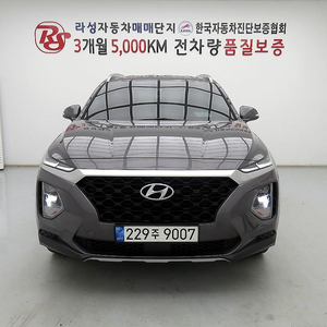 @18년식 싼타페(TM) R2.2 2WD 익스클루시브