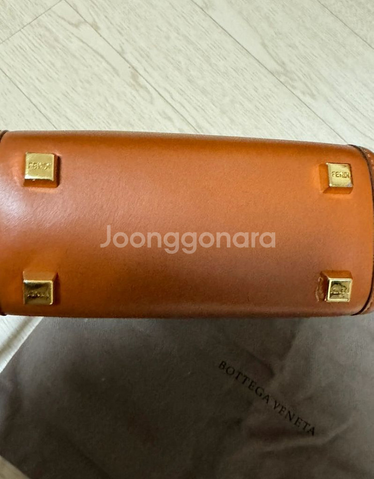 팬디 미니선샤인 쇼퍼--3