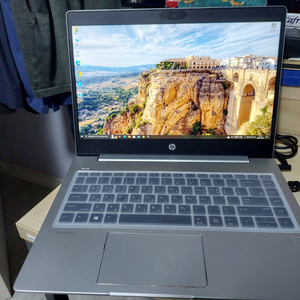 HP Probook 455 G7 R5