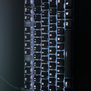 스틸시리즈 apex pro tkl 무선