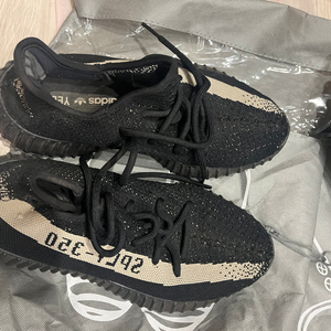 아디다스 이지 yeezy 250운동화