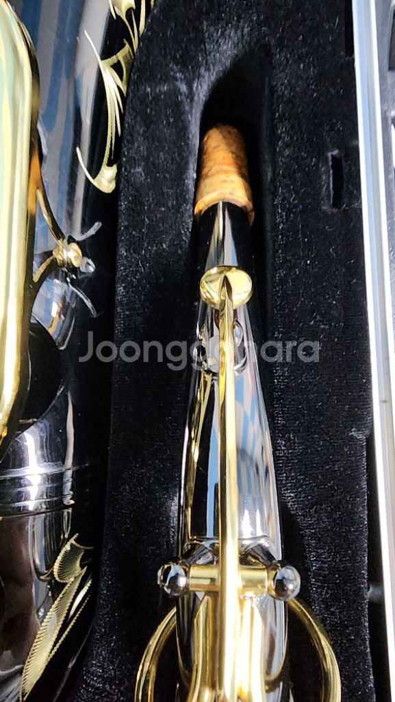 닥터필립 알토색소폰 액션15(UL)--8