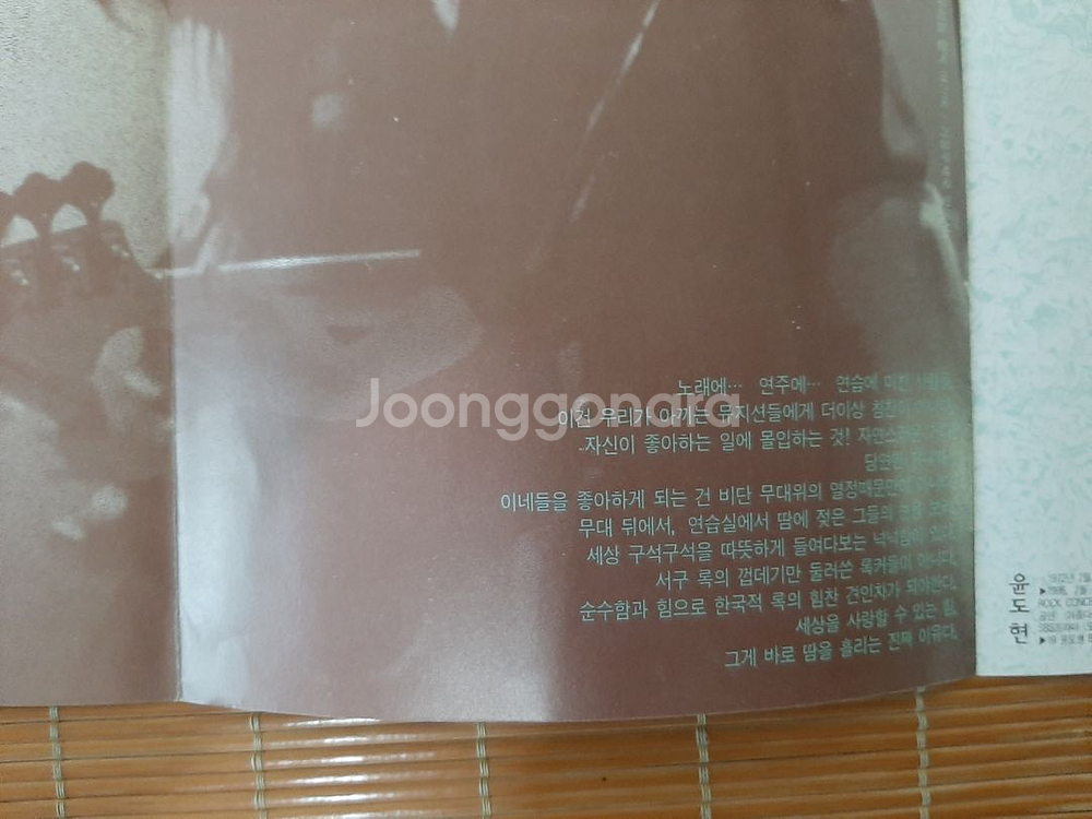 96년 정글스토리 팜플렛 윤도현밴드 YB공연 팜플렛--5