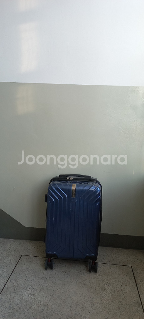 최고급 명품 럭셔리 디럭스 캐리어 여행 가방 쌈지. 4--1