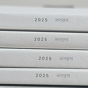 2025 시대인재 국어 온톨로지 배경지식 책 일괄판매