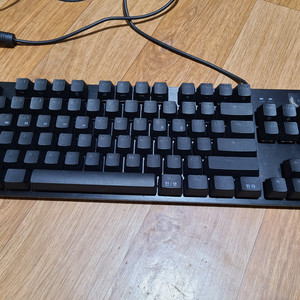 로지텍 g413 tkl 텐키리스