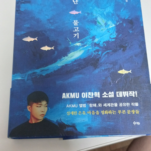 악뮤 이찬혁 소설