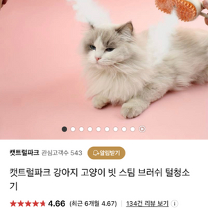 캣트럴파크 강아지 고양이 빗 스팀 브러쉬 털청소기