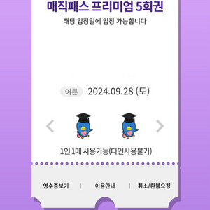 9월28일(토)롯데월드 매직패스 5회권 4장