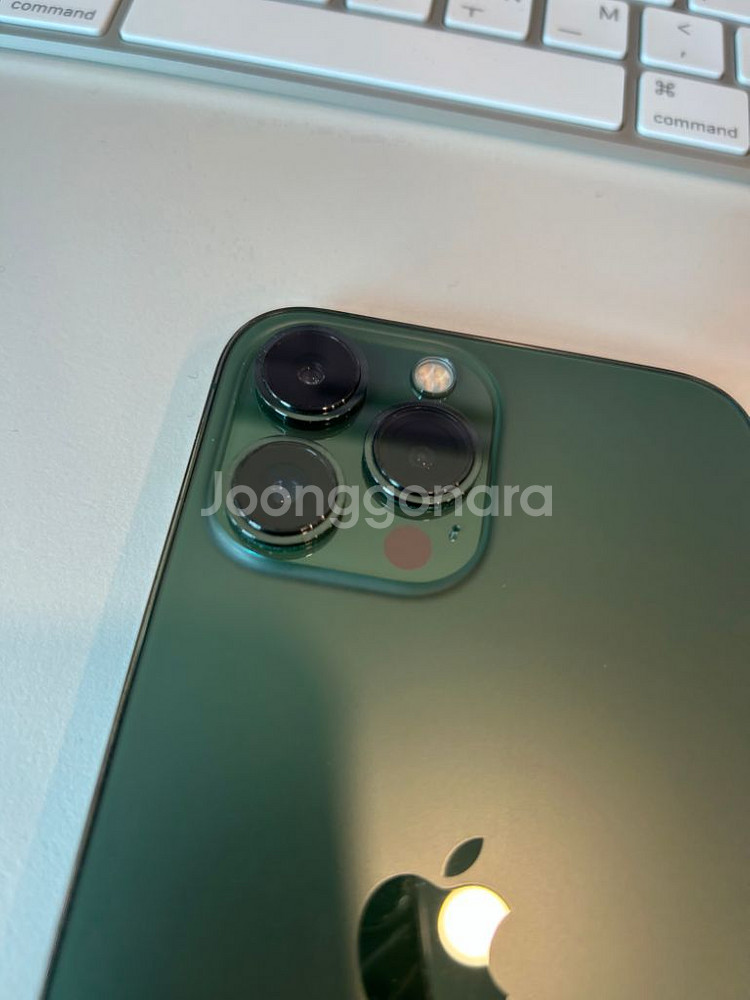아이폰 13 pro max 256(그린)--1