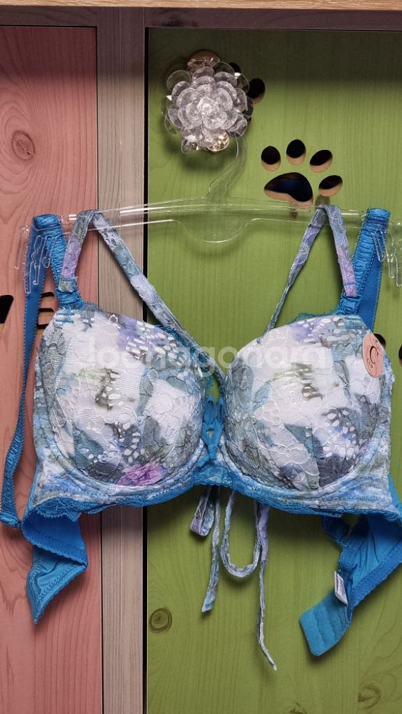 에블린 블루 플라워 홀터넥 브래지어 75C--1
