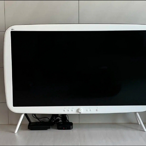 예쁜 LG 48인치 클래식 TV 루키