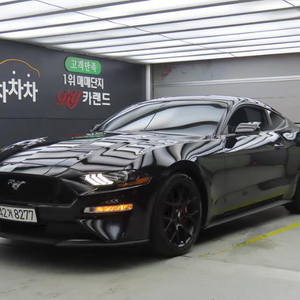 @18년식 Mustang 2.3 Coupe 전국최저가