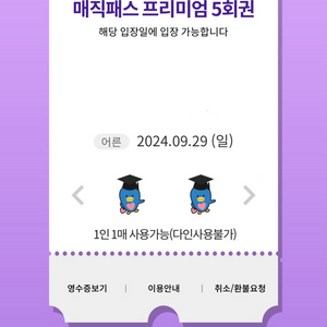 9월29일(일)롯데월드 매직패스 5회권 4장