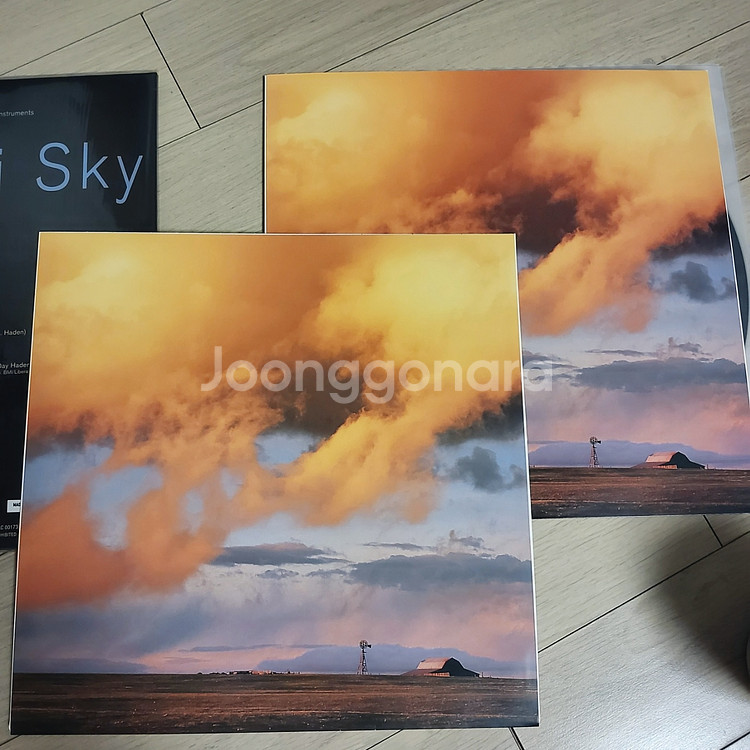 팻 매시니&찰리 헤이든 비욘드 더 미주리 스카이 LP--4