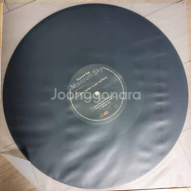팻 매시니&찰리 헤이든 비욘드 더 미주리 스카이 LP--7