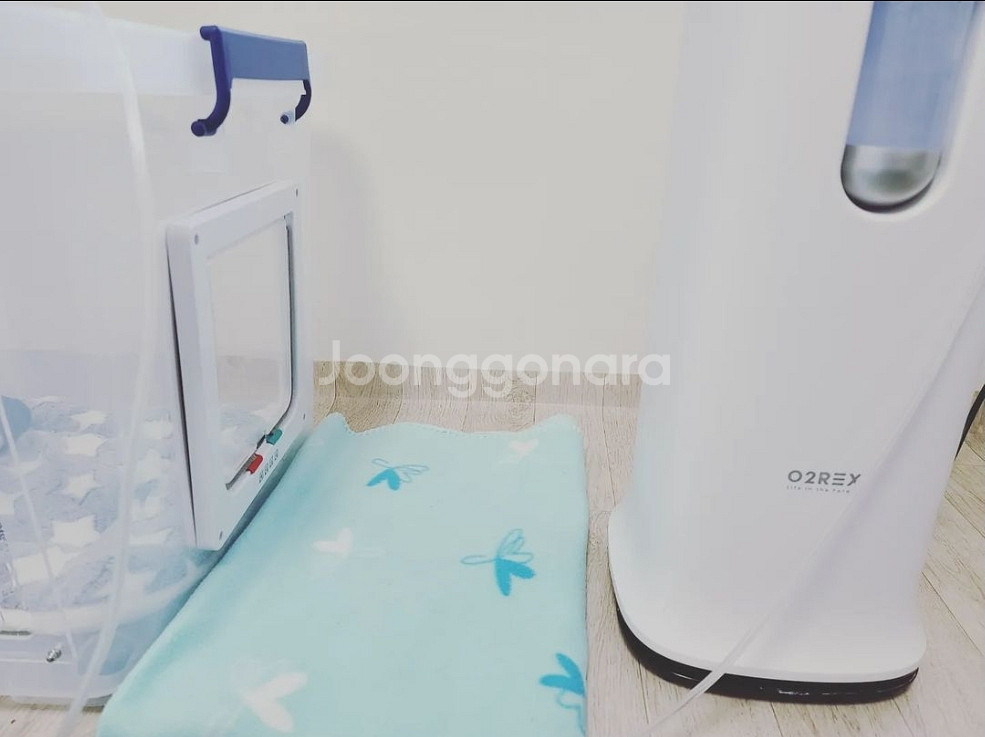 강아지 산소발생기--1