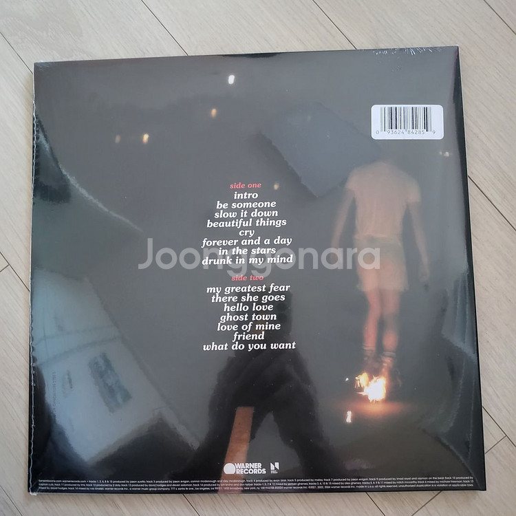 벤슨 분 레드&그린 하프앤하프 컬러 한정반 LP--4