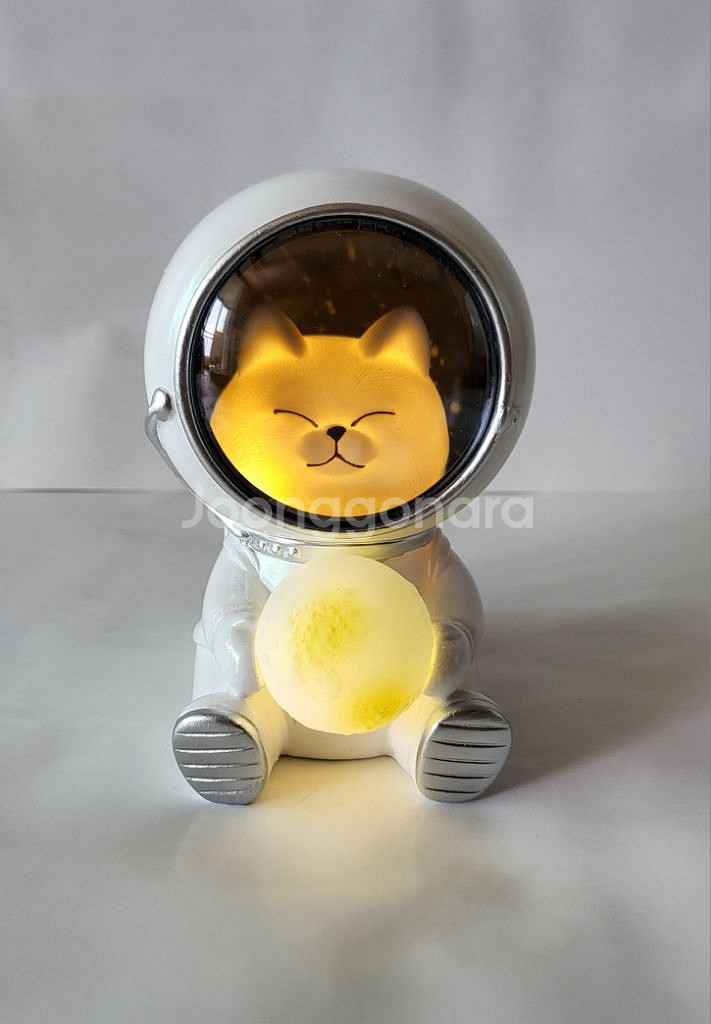 우주 고양이 무드등--1