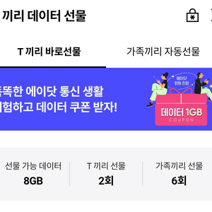 skt 데이터 2기가