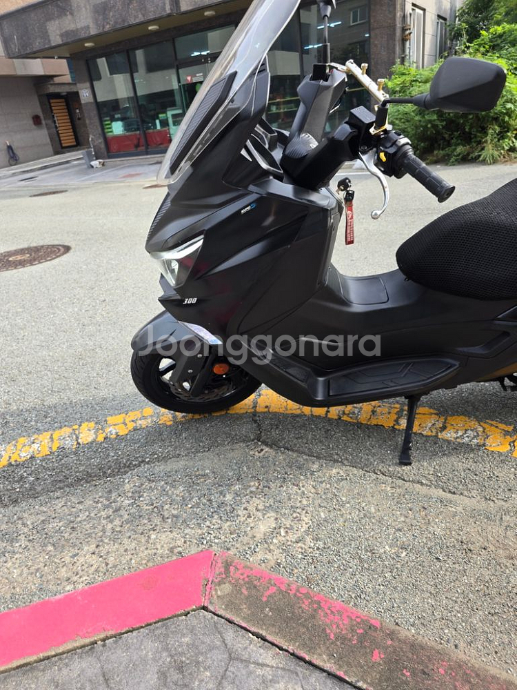 전국 무료탁송 양산 직거래 조이맥스z+ 300 21년식--7