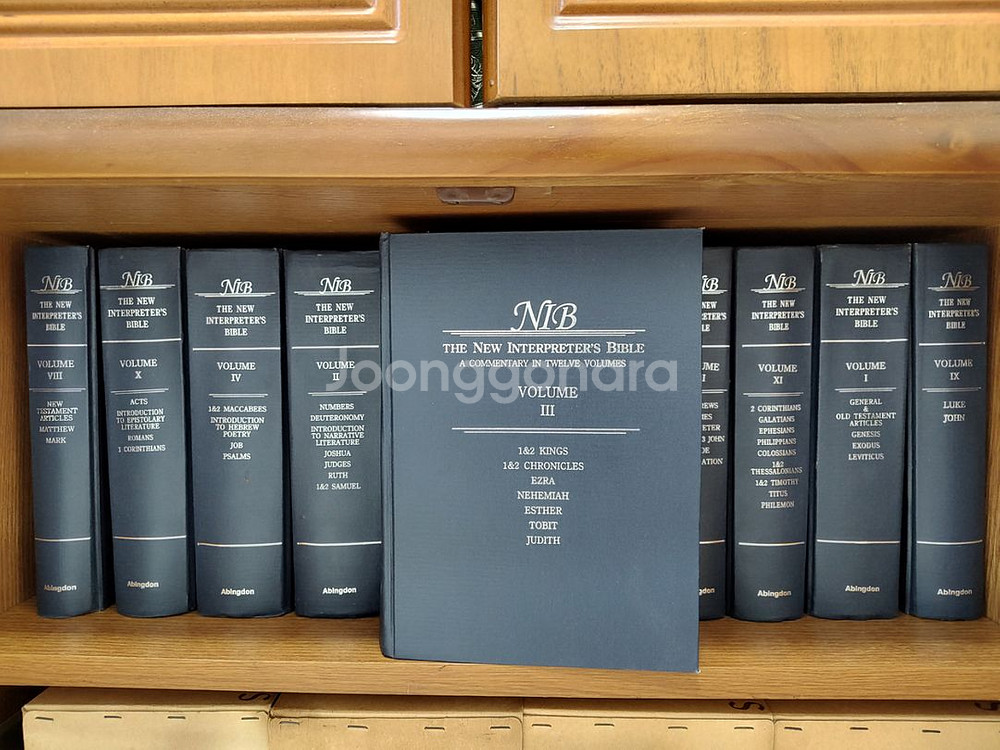 New Interpreters Bible 12 세트--1
