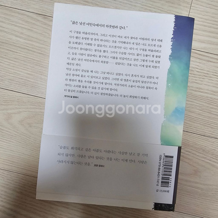 높고 푸른 사다리 (저자. 공지영)--1