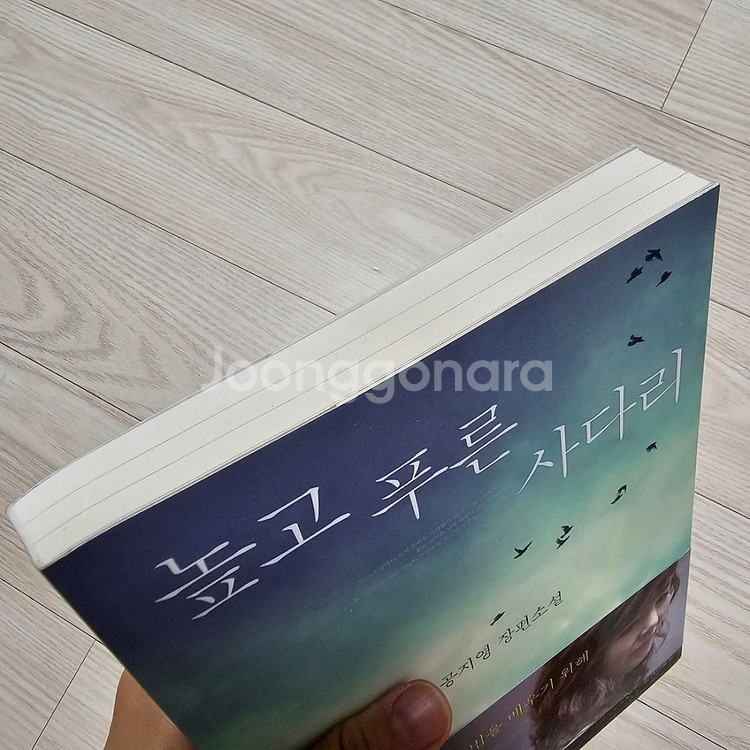 높고 푸른 사다리 (저자. 공지영)--4