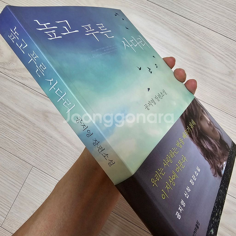 높고 푸른 사다리 (저자. 공지영)--2