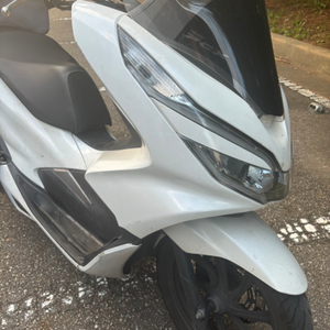 pcx125 19년식