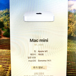 맥미니 m1 256/16g + 매직트랙패드 + 매직키보