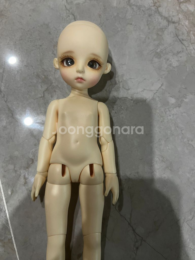 구체관절인형 구관 리나슈슈데이지판매--1