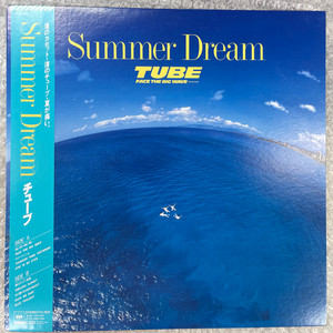 TUBE / Summer Dream 엘피