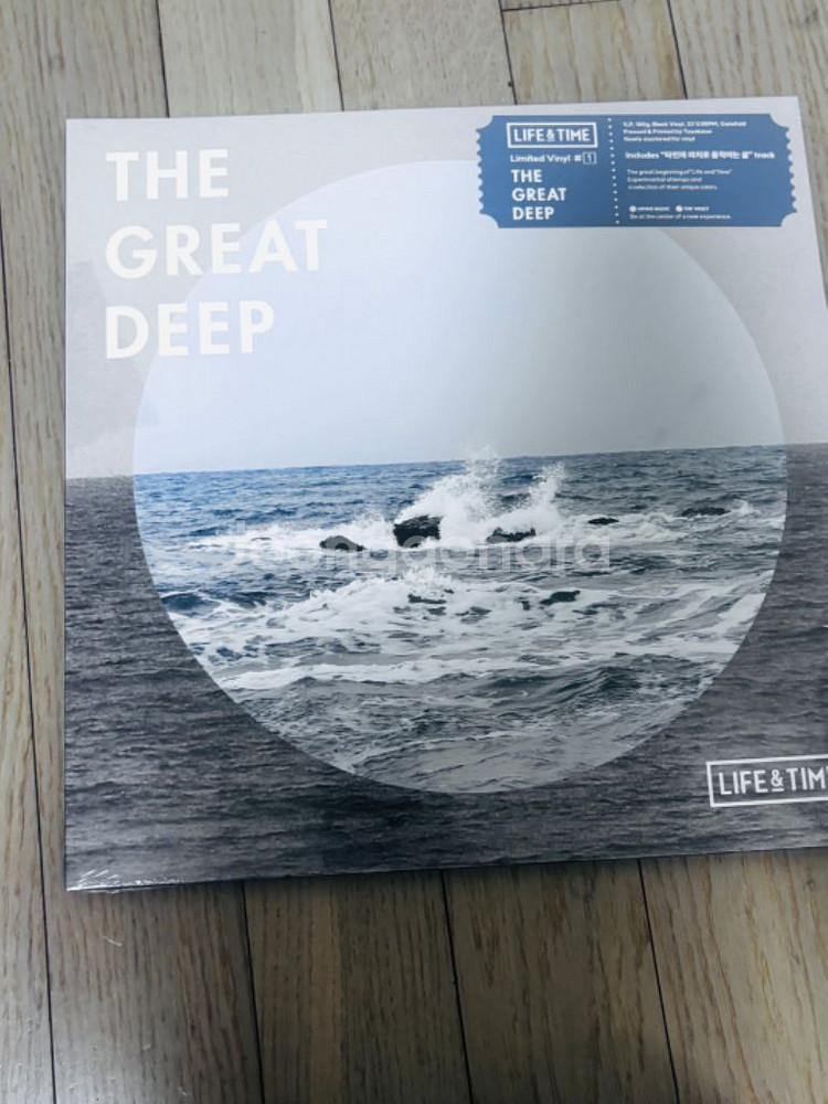 라이프앤 타임1집 the great deep lp팝니다--1