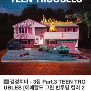 검정치마 Teen Troubles LP 판매 배송지변경