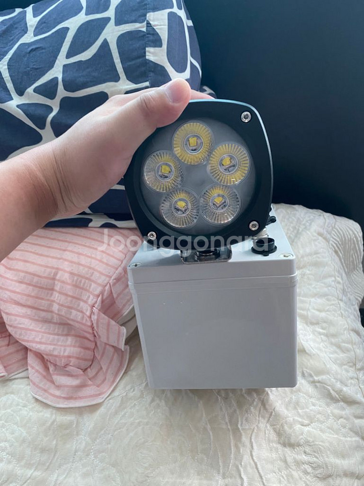 하우투 달초롱 50w--2