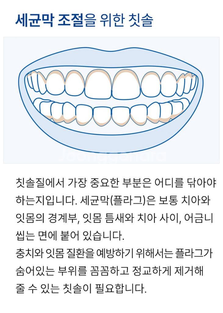 큐라덴cs1006--2