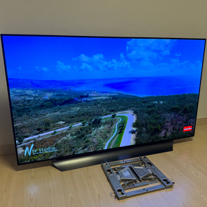 LG OLED 65인치 TV 판매