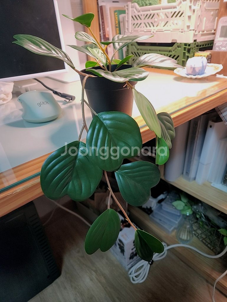 식물조화,인조식물, 이케아 페이카 감성 소품 개별판매--5