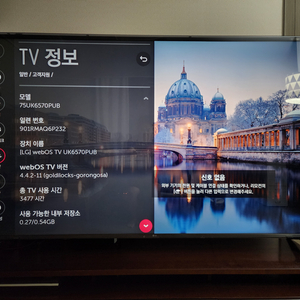 LG 65인치 TV(아크릴 커버, TV장 포함)